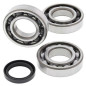 Kit rodamientos y retenes de cigüeñal ALL BALLS para POLARIS SCRAMBLER 500, SPORTSMAN 500 6X6, SPORTSMAN 500 HO y YAMAHA XT 600