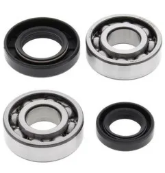 ALL BALLS Crankshaft Bearing & Oil Seal Kit for SUZUKI JR 50, LT 50 QUADRUNNER 2WD, LTA 50 and KAWASAKI KFX 50 1978-2006