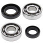 Kit rodamientos y retenes de cigüeñal ALL BALLS para SUZUKI JR 50, LT 50 QUADRUNNER 2WD, LTA 50 y KAWASAKI KFX 50 de 1978 a 2006