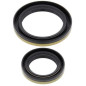 Kit de retenes de cigüeñal ALL BALLS para SUZUKI RM 250 de 1996 a 2002