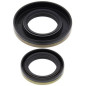 Kit de retenes de cigüeñal ALL BALLS para SUZUKI RM 250 de 2003 a 2004