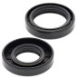 Kit de retenes de cigüeñal ALL BALLS para YAMAHA YZ 80, YZ 85 de 1980 a 2018