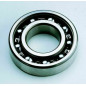 Cojinete de cigueñal PROX 25x55x15mm para YAMAHA IT 200, TDR 125, TZR 125, YFS 200 BLASTER 2WD de 1984 a 2007 Cojinete de cigueñal PROX 25x55x15mm para YAMAHA IT 200, TDR 125, TZR 125, YFS 200 BLASTER 2WD de 1984 a 2007