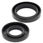 Kit joints spi de vilebrequin ALL BALLS pour YAMAHA WR 125, YZ 125 de 2001 à 2004