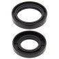 Kit de retenes de cigüeñal ALL BALLS para YAMAHA WR 125, YZ 125 de 1986 a 2000