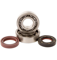 HOT RODS Crankshaft Bearing & Oil Seal Kit for YAMAHA YFS 200 BLASTER 2WD 1990-2007