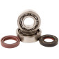 Rodamientos y retenes de cigüeñal HOT RODS para YAMAHA YFS 200 BLASTER 2WD de 1990 a 2007 Rodamientos y retenes de cigüeñal HOT RODS para YAMAHA YFS 200 BLASTER 2WD de 1990 a 2007