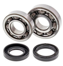 ALL BALLS Crankshaft Bearing & Oil Seal Kit for YAMAHA YFS 200 BLASTER 2WD 1990-2007