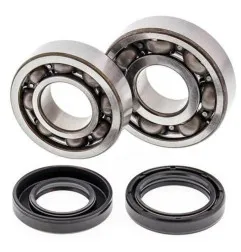 Kit roulements et joints spi de vilebrequin ALL BALLS pour YAMAHA YFS 200 BLASTER 2WD de 1990 à 2007