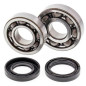 Kit roulements et joints spi de vilebrequin ALL BALLS pour YAMAHA YFS 200 BLASTER 2WD de 1990 à 2007