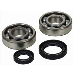 Kit rodamientos y retenes de cigüeñal ALL BALLS para YAMAHA YFZ 350 BANSHEE 2WD de 1988 a 2011