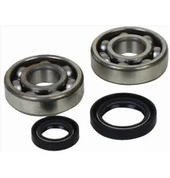 Kit roulements et joints spi de vilebrequin ALL BALLS pour YAMAHA YFZ 350 BANSHEE 2WD de 1988 à 2011