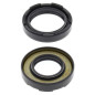 ALL BALLS Kurbelwellen-Simmerring-Kit für YAMAHA DT 250, DT 400, IT 250, YZ 250, YZ 490 1974-1993 ALL BALLS Kurbelwellen-Simmerring-Kit für YAMAHA DT 250, DT 400, IT 250, YZ 250, YZ 490 1974-1993