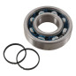 HOT RODS Kurbelwellenlager & Simmerringsatz für YAMAHA YFM 450 GRIZZLY IRS 4WD, YFM 450 GRIZZLY IRS EPS 4WD 2003-2016 HOT RODS Kurbelwellenlager & Simmerringsatz für YAMAHA YFM 450 GRIZZLY IRS 4WD, YFM 450 GRIZZLY IRS EPS 4WD 2003-2016