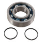 Rodamientos y retenes de cigüeñal HOT RODS para YAMAHA YFM 450 GRIZZLY IRS 4WD, YFM 450 GRIZZLY IRS EPS 4WD de 2003 a 2016