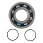 Rodamientos y retenes de cigüeñal HOT RODS para YAMAHA YFM 450 GRIZZLY IRS 4WD, YFM 450 GRIZZLY IRS EPS 4WD de 2003 a 2016