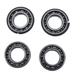 HOT RODS Balancer Shaft Reconditioning Kit for POLARIS SCRAMBLER 850, SPORTSMAN 850, SPORTSMAN 850 HIGH LIFTER EDITION 2009-2025