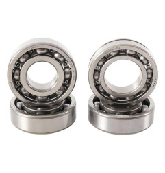 HOT RODS Balancer Shaft Reconditioning Kit Raptor for YAMAHA YFM 700 RAPTOR 2WD 2006-2025