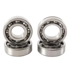 Kit reconditionnement arbre équilibrage HOT RODS Raptor pour YAMAHA YFM 700 RAPTOR 2WD de 2006 à 2025