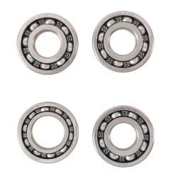 Kit reacondicionamiento eje del balance HOTS RODS Raptor para YAMAHA YFM 700 RAPTOR 2WD de 2006 a 2025