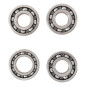 Kit reacondicionamiento eje del balance HOTS RODS Raptor para YAMAHA YFM 700 RAPTOR 2WD de 2006 a 2025