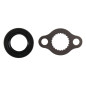 Kit de reparacion piñon de salida HOT RODS para HONDA CR 80, CR 85 de 1986 a 2007 Kit de reparacion piñon de salida HOT RODS para HONDA CR 80, CR 85 de 1986 a 2007