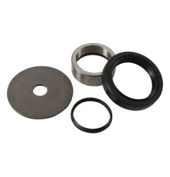 Kit de reparacion piñon de salida HOT RODS para HONDA CR 125, CRF 250 de 2004