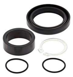 Kit de reparación piñón de salida ALL BALLS para KAWASAKI KX 500 de 1988 a 2004