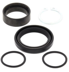 Kit de reparacion piñon de salida ALL BALLS para SUZUKI RM 250, RMX 250 de 1989 a 2002