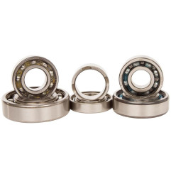 HOT RODS Getriebelager Kit für YAMAHA YFZ 450 2009-2025