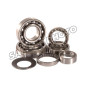 HOT RODS Transmission Bearing Kits Grizzly for YAMAHA YFM 700 GRIZZLY EPS 4WD, YXM 700 VIKING 4WD, YXM 700 VIKING EPS 4WD