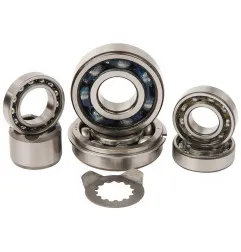 HOT RODS Transmission Bearing Kits Raptor for YAMAHA YFM 660 RAPTOR 2WD 2001-2005