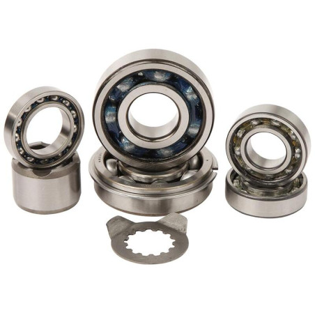 HOT RODS Transmission Bearing Kits Raptor for YAMAHA YFM 660 RAPTOR 2WD 2001-2005