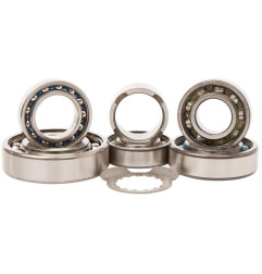 Kit roulements boîte de vitesse HOT RODS Raptor pour YAMAHA YFM 700 RAPTOR 2WD de 2006 à 2025