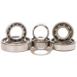 HOT RODS Transmission Bearing Kits Raptor for YAMAHA YFM 700 RAPTOR 2WD 2006-2025