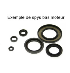 CENTAURO Oil Seal Set for KAWASAKI KFX 400 2003-2006
