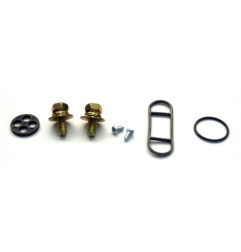 TOURMAX Reparatursatz für Kraftstoffventil für KAWASAKI KDX 200, KDX 250, KLF 300 BAYOU 4WD, KLF 400 BAYOU 4WD, KLX 650