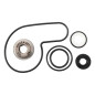 HOT RODS Water pump repair kit for SUZUKI LTZ 400, ARCTIC CAT DVX 400 and KAWASAKI KFX 400 2003-2014 HOT RODS Water pump repair kit for SUZUKI LTZ 400, ARCTIC CAT DVX 400 and KAWASAKI KFX 400 2003-2014