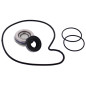 Kit de reparación de bomba de agua HOT RODS para POLARIS RZR 1000 RS1, RZR 1000 XP TURBO EPS, RZR 1000 XP4, RZR 900, RZR XP 1000 Kit de reparación de bomba de agua HOT RODS para POLARIS RZR 1000 RS1, RZR 1000 XP TURBO EPS, RZR 1000 XP4, RZR 900, RZR XP 1000