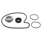 Kit de reparación de bomba de agua HOT RODS para POLARIS RZR 1000 RS1, RZR 1000 XP TURBO EPS, RZR 1000 XP4, RZR 900, RZR XP 1000 Kit de reparación de bomba de agua HOT RODS para POLARIS RZR 1000 RS1, RZR 1000 XP TURBO EPS, RZR 1000 XP4, RZR 900, RZR XP 1000