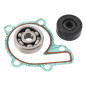 HOT RODS Reparatursatz Wasserpumpe - BANSHEE für YAMAHA YFZ 350 BANSHEE 2WD 1988-2006 HOT RODS Reparatursatz Wasserpumpe - BANSHEE für YAMAHA YFZ 350 BANSHEE 2WD 1988-2006