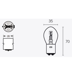 TECNIUM B35 Glühlampen 6V 35/35W - x10
