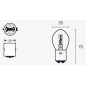 Ampoule TECNIUM B35 6V 35/35W - x10 Ampoule TECNIUM B35 6V 35/35W - x10