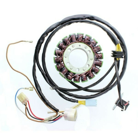 ELECTROSPORT Stator - Sportsman 450/500 für POLARIS SPORTSMAN 400, SPORTSMAN 450, SPORTSMAN 500 6X6, SPORTSMAN 500 HO 2000-2014