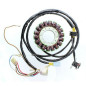 ELECTROSPORT Stator - Sportsman 450/500 für POLARIS SPORTSMAN 400, SPORTSMAN 450, SPORTSMAN 500 6X6, SPORTSMAN 500 HO 2000-2014