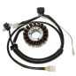 ELECTROSPORT Stator für POLARIS OUTLAW 500, PREDATOR 500 2002-2013 ELECTROSPORT Stator für POLARIS OUTLAW 500, PREDATOR 500 2002-2013