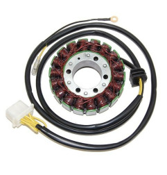 ELECTROSPORT Stator - Sportsman 700 EFI for POLARIS SPORTSMAN 700, SPORTSMAN 800, SPORTSMAN 800 TOURING 2004-2007