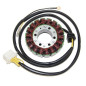 ELECTROSPORT Stator - Sportsman 700 EFI für POLARIS SPORTSMAN 700, SPORTSMAN 800, SPORTSMAN 800 TOURING 2004-2007