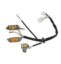 Estátor con bobina de encendido ELECTROSPORT para YAMAHA YFM 50 RAPTOR 2WD, YFM 80 BADGER 2WD, YFM 80 RAPTOR 2WD de 1992 a 2009