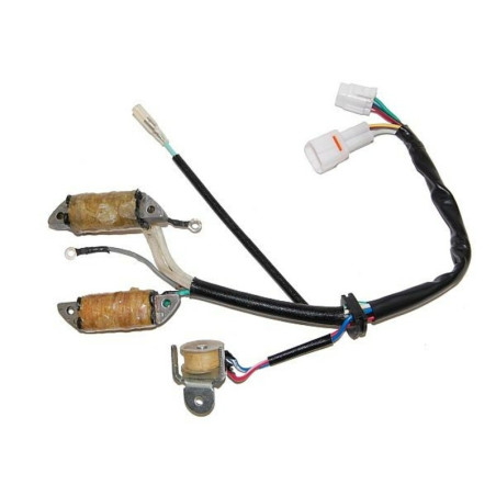Stator ELECTROSPORT pour YAMAHA YFM 50 RAPTOR 2WD, YFM 80 BADGER 2WD, YFM 80 RAPTOR 2WD de 1992 à 2009